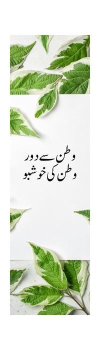 Fakhr‑e‑Pakistan — Social media creatives